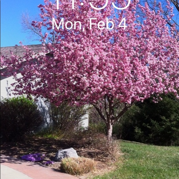 Meet your Posher, Jayne - Picture 1 of 1